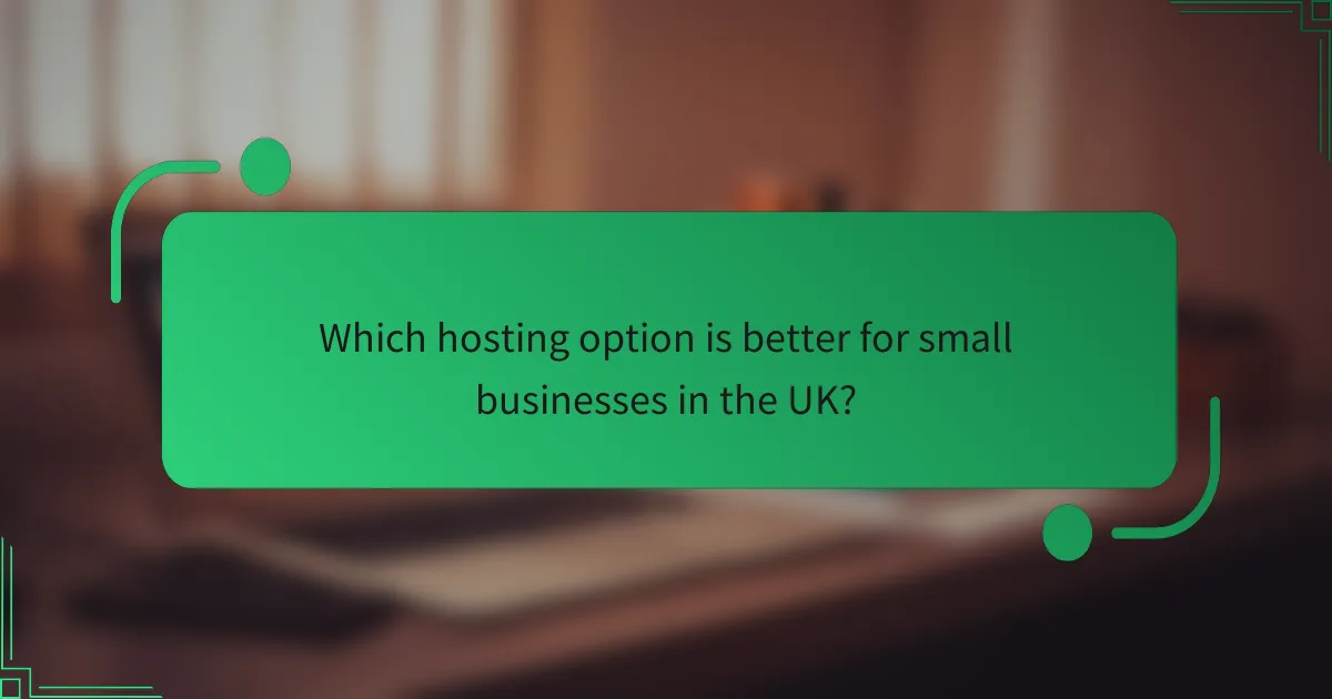 Which hosting option is better for small businesses in the UK?